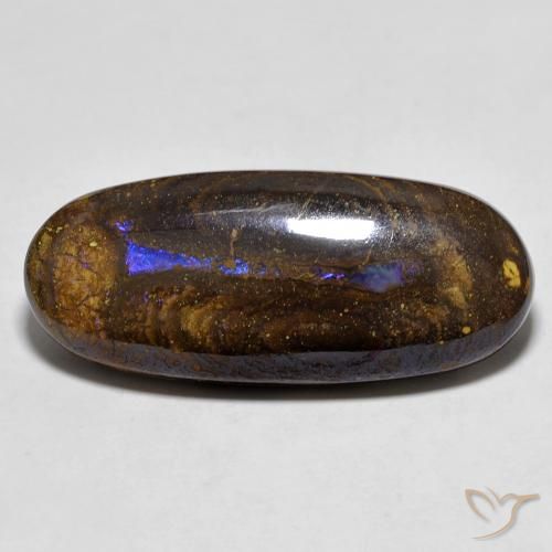 14.55ct Natural Multicolor Ópalo de roca, Ovalada, Opaco