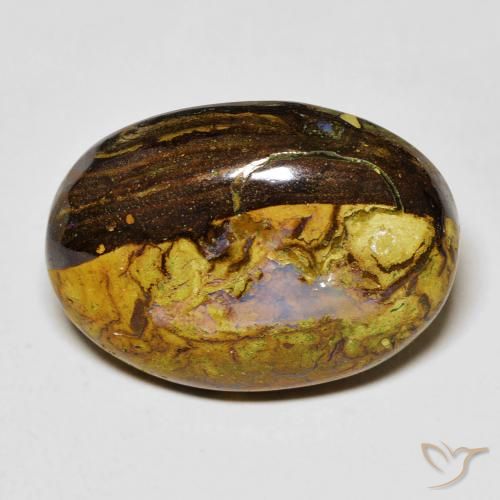 14.45ct Natural Multicolor Ópalo de roca, Ovalada, Opaco