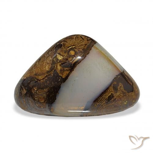 16.35ct Multicolor Ópalo de roca, Trillón, Translúcido