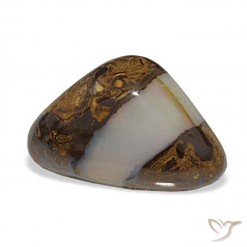 Ópalo de roca Multicolor natural de 16.35 ct, Trillón, Translúcido