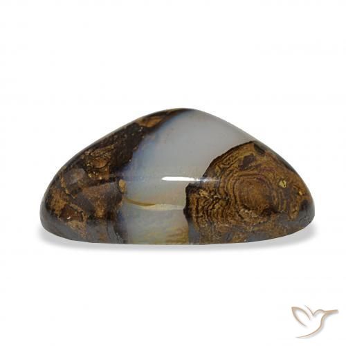 Ópalo de roca Multicolor natural de 16.35 ct, Trillón, Translúcido