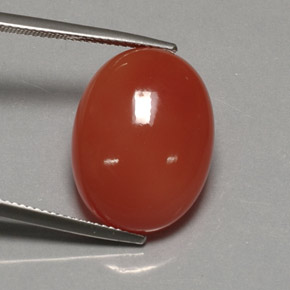 Cornalina naranja natural de 17,21 ct, transparente, transparente / translúcido