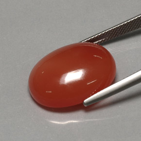 Cornalina naranja natural de 17,21 ct, transparente, transparente / translúcido