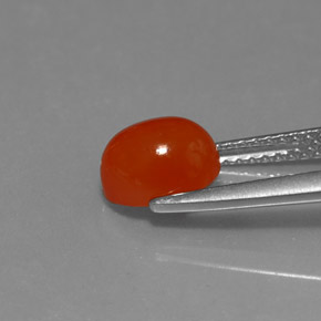 Cornalina naranja rojizo natural de 1,67 ct, corte óvalo, translúcido