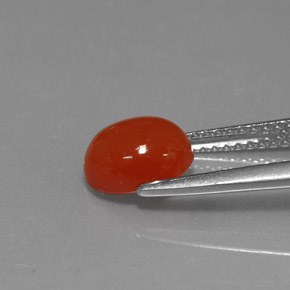 Cornalina Naranja rojizo natural de 1.56 ct, Corte Óvalo, Translúcido