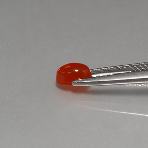 Cornalina Naranja rojizo natural de 0.57 ct, Transparente, Transparente / Translúcido