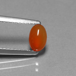 Cornalina Naranja natural de 0.49 ct, Transparente, Transparente / Translúcido