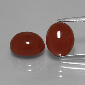 Gemas de cornalina rojo natural de  ct, corte óvalo, translúcido