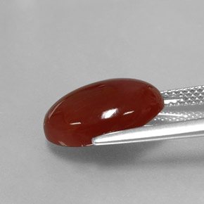Cornalina naranja natural de 5,28 ct, corte óvalo, translúcido