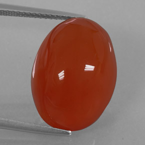 Cornalina naranja natural de 15,49 ct, transparente, transparente / translúcido