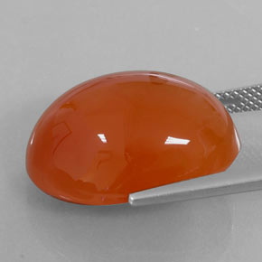 Cornalina naranja natural de 18,75 ct, corte óvalo, translúcido
