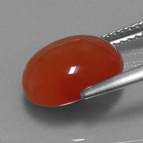 Cornalina naranja natural de 3,67 ct, transparente, transparente / translúcido
