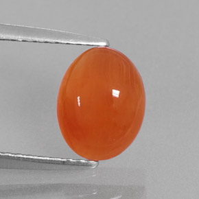 Cornalina naranja natural de 1,82 ct, transparente, transparente / translúcido