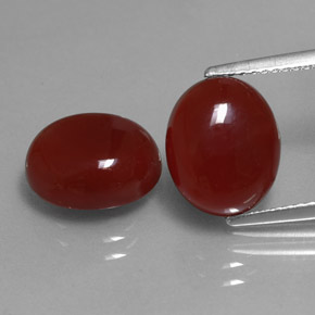 Gemas de cornalina rojo natural de  ct, corte óvalo, translúcido
