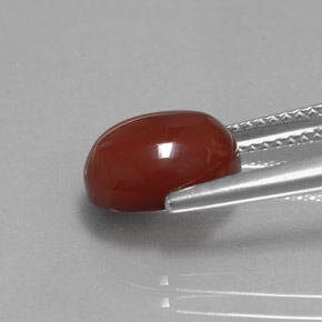 Cornalina naranja natural de 2,98 ct, corte óvalo, translúcido