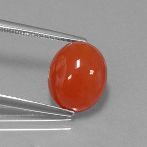Cornalina naranja natural de 4,02 ct, corte óvalo, translúcido