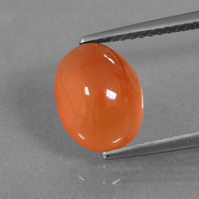 Cornalina Naranja natural de 2.76 ct, Corte Óvalo, Translúcido