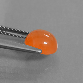 Cornalina Naranja natural de 1.59 ct, Corte Redondo, Translúcido