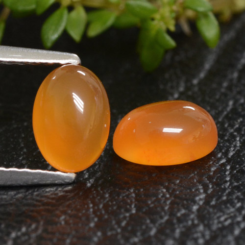 Gemas de Cornalina Naranja rojizo natural de 1.94 ct, Corte Óvalo, Translúcido