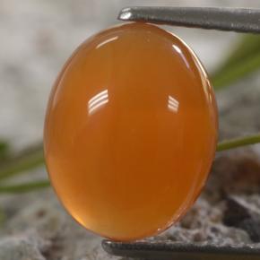 Cornalina Naranja natural de 2.56 ct, Corte Óvalo, Translúcido