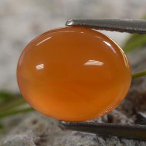 Cornalina Naranja natural de 2.56 ct, Corte Óvalo, Translúcido