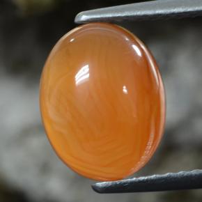 Cornalina naranja natural de 2,92 ct, corte óvalo, translúcido
