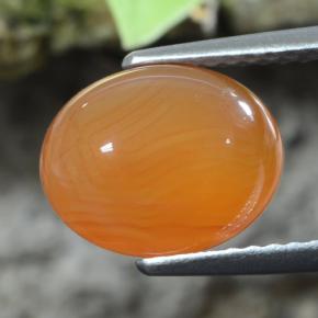 Cornalina naranja natural de 2,92 ct, corte óvalo, translúcido