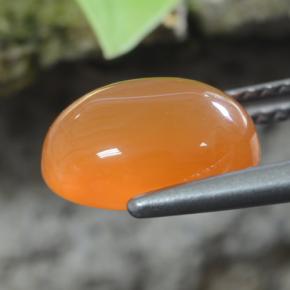 Cornalina naranja natural de 2,92 ct, corte óvalo, translúcido
