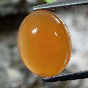 Cornalina naranja albaricoque natural de 2,63 ct, corte óvalo, translúcido