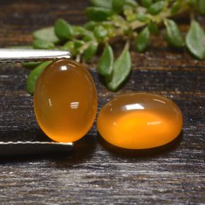Gemas de Cornalina Naranja natural de 2.65 ct, Corte Óvalo, Translúcido