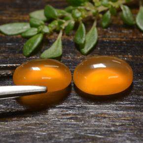 Gemas de Cornalina Naranja natural de 2.65 ct, Corte Óvalo, Translúcido