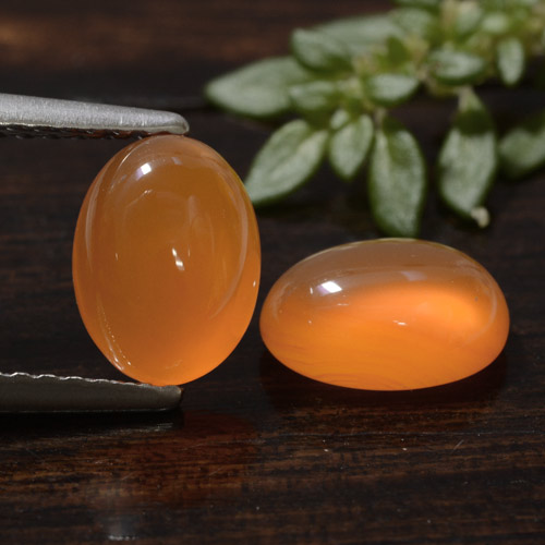 Gemas de cornalina naranja natural de 2,39 ct, corte óvalo, translúcido