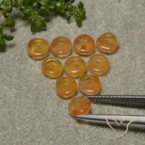 Gemas de Cornalina Naranja albaricoque natural de 4.06 ct, Forma elegante, Translúcido