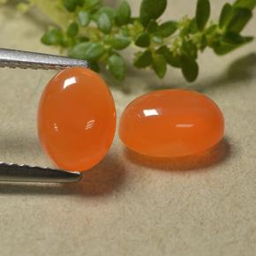 Gemas de Cornalina Naranja natural de 2.93 ct, Corte Óvalo, Translúcido