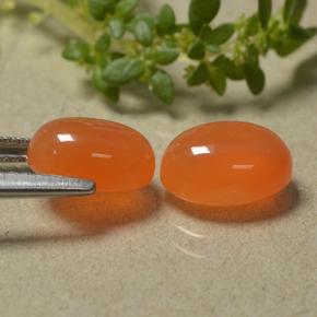 Gemas de Cornalina Naranja natural de 2.93 ct, Corte Óvalo, Translúcido