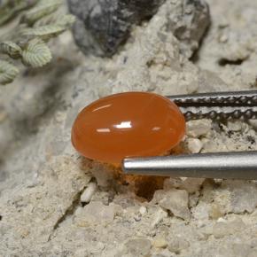 Cornalina Naranja oscuro natural de 1.30 ct, Corte Óvalo, Translúcido