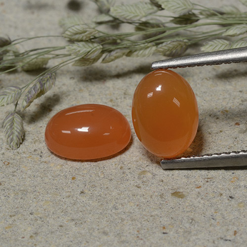 Gemas de Cornalina Naranja rojizo natural de 2.97 ct, Corte Óvalo, Translúcido