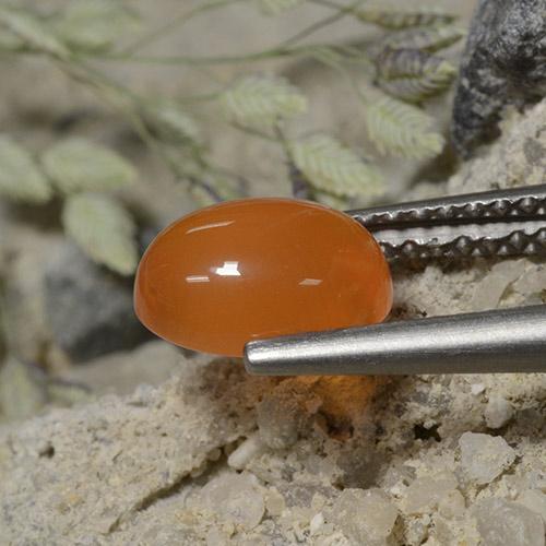 Cornalina Naranja medio natural de 1.33 ct, Corte Óvalo, Translúcido
