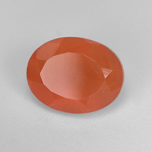 Cornalina Naranja medio natural de 1.69 ct, Corte Óvalo, Translúcido