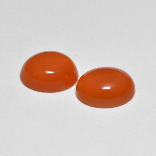 Gemas de Cornalina Naranja rojizo natural de 3.68 ct, Corte Óvalo, Translúcido