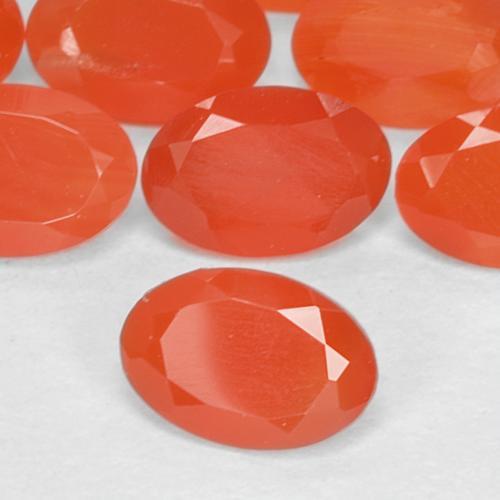 Gemas de cornalina naranja natural de 1,55 ct, corte óvalo, translúcido