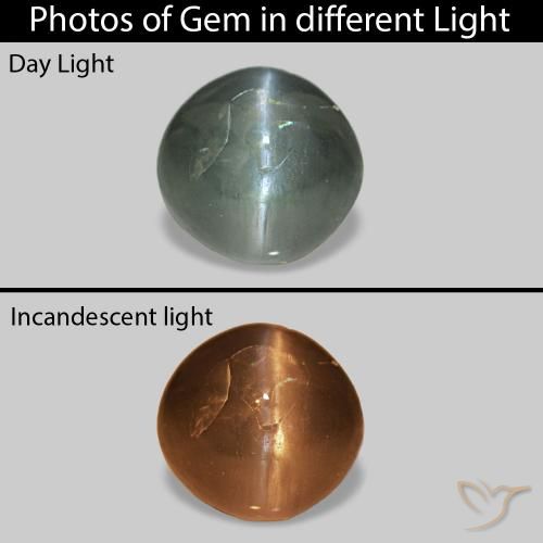 0.53ct Verde cálido Cat's Eye Alexandrite, Redondo, Opaco