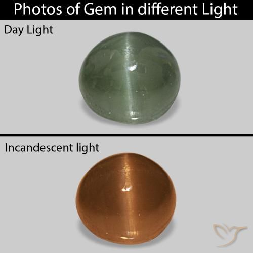 Cat's Eye Alexandrite Verde medio natural de 0.59 ct, Ovalada, Opaco