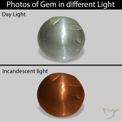 Cat's Eye Alexandrite Verde gris natural de 0.51 ct, Ovalada, Opaco