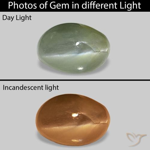 Cat's Eye Alexandrite Verde medio natural de 0.62 ct, Ovalada, Opaco