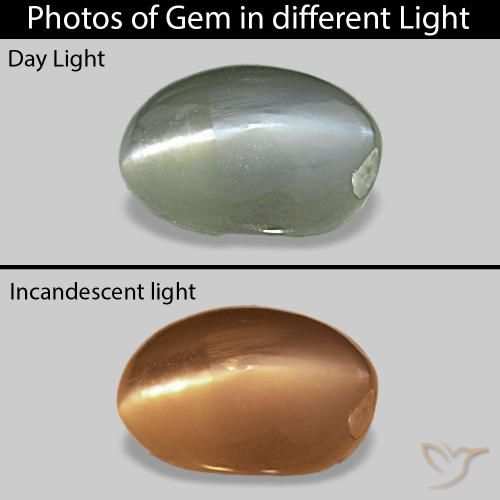 Cat's Eye Alexandrite Verde medio natural de 0.71 ct, Ovalada, Opaco