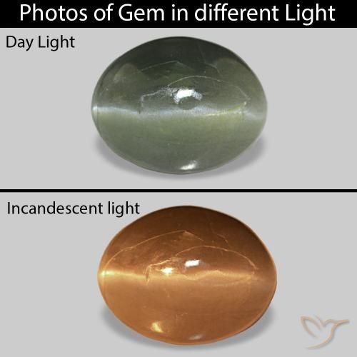 Cat's Eye Alexandrite Verde bosque pálido natural de 0.62 ct, Ovalada, Opaco