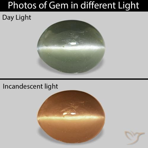 0.49ct Verde gris Cat's Eye Alexandrite, Ovalada, Opaco