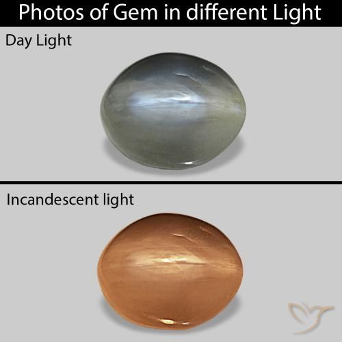 0.72ct Verde medio Cat's Eye Alexandrite, Ovalada, Opaco