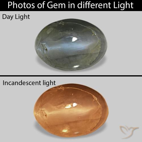 Cat's Eye Alexandrite Gris verdoso pálido natural de 0.52 ct, Ovalada, Opaco